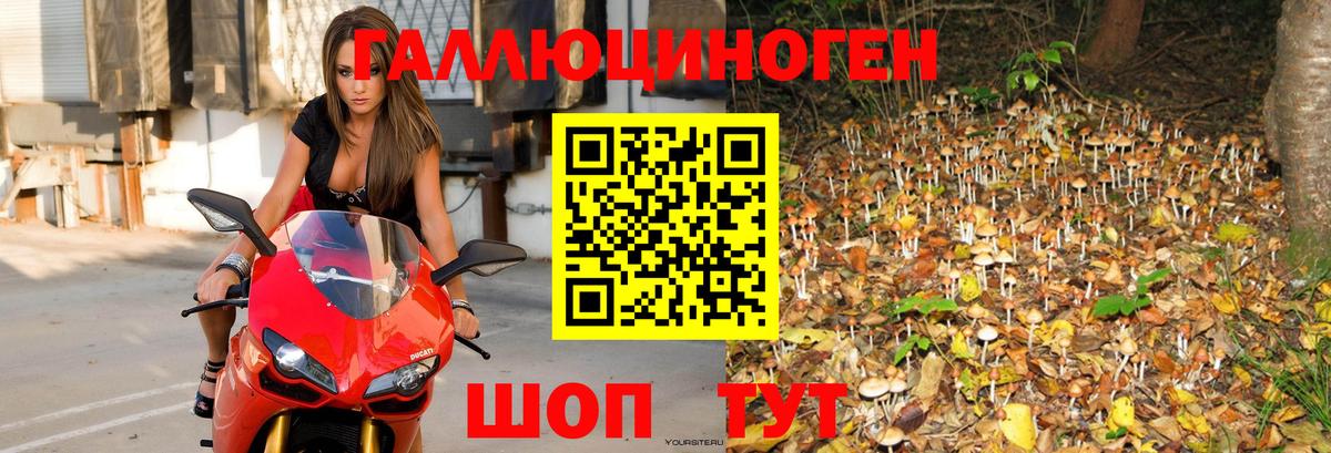 Галлюциногенные грибы GOLDEN TEACHER Конаково
